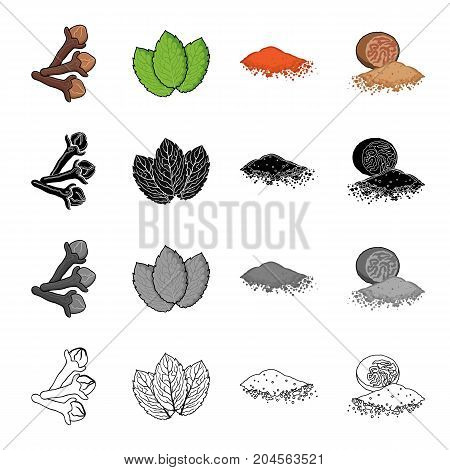 Sprig of allspice, mint grass, spicy paprika, nutmeg. Grass and spice set collection icons in cartoon black monochrome outline style vector symbol stock illustration .