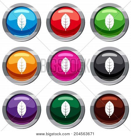 Plum leaf set icon isolated on white. 9 icon collection vector illustration