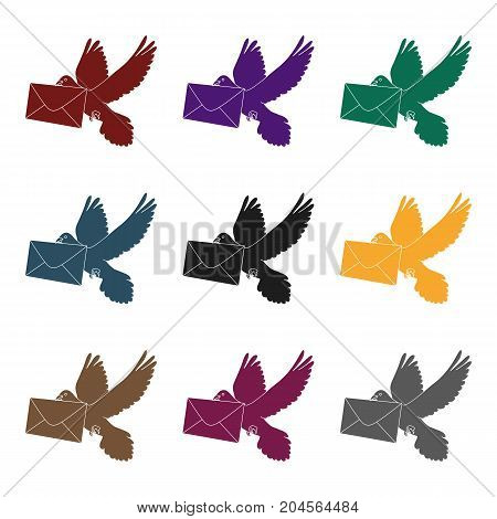Post pigeon.Mail and postman single icon in black style vector symbol stock illustration .