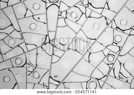 microscopic detail of some dried egg white in light back