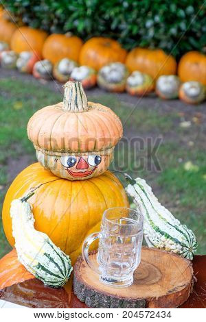 nice garden in Germany with a lot of pumpkins