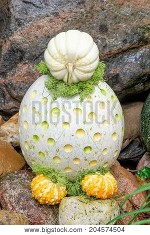 nice garden in Germany with a lot of pumpkins