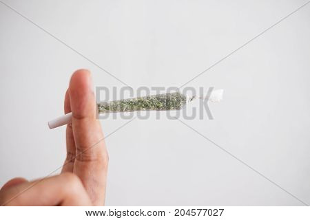 Hand holding rolled joint cannabis, tobacco on white background