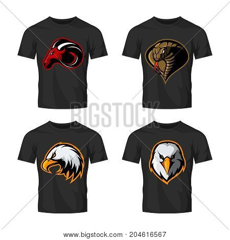 Furious cobra, eagle and ram sport vector logo concept set isolated on white background. 
Street wear mascot team badge design. Premium quality wild animal emblem t-shirt tee print illustration.