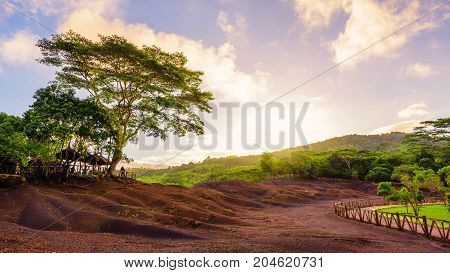 Chamarel seven coloured earths.Natural parkthe most famous tourist place of Mauritius island.