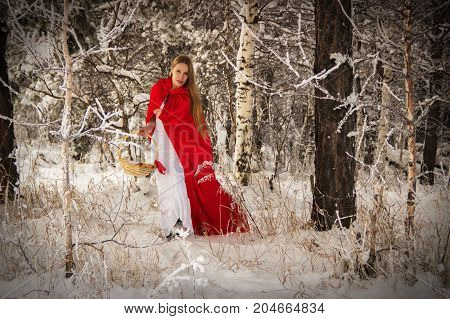 Girl in costume Little Red Riding Hood with dog like a wolf and a basket with apples and pies in the winter in the woods in the snow