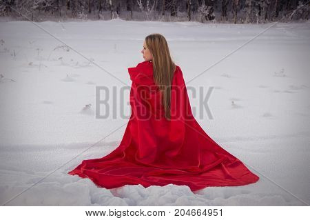 Girl in costume Little Red Riding Hood with dog like a wolf and a basket with apples and pies in the winter in the woods in the snow