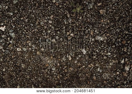 Sandy soil. Sandy soil background. Sandy earth. Grunge background. Brown background.