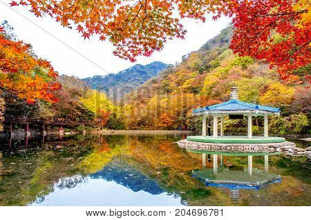 Autumn in Naejangsan National park South Korea.