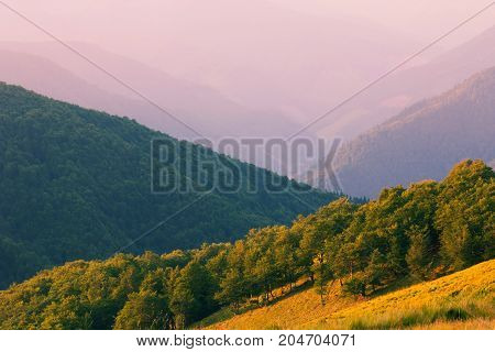 beautiful summer sunrise landscape in the mountains, east Europe travel, Carpathian national park, west Ukraine, beeauty world, wallpaper background landscape