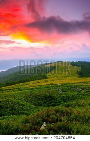 beautiful summer sunrise landscape in the mountains, east Europe travel, Carpathian national park, west Ukraine, beeauty world, wallpaper background landscape