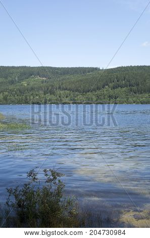 The Schluchsee Lake In The German Black Forest