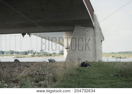 Rambler Sleeps In Grass Under Modern Bridge Near River.