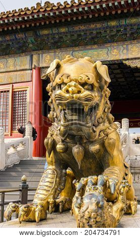 Beijing, China - Oct 30, 2016: Gilded bronze lion with left paw on baby cub at the Gate of Heavenly Purity, or Celestial Purity (Qianqingmen). Forbidden City (Gu Gong, Palace Museum).