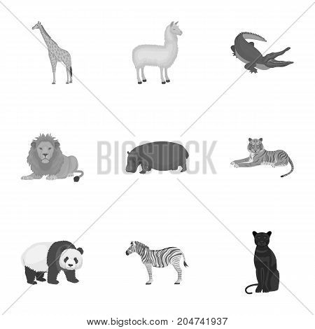Ostrich emu, crocodile, giraffe, tiger, penguin and other wild animals. Artiodactyla, mammalian predators and animals set collection icons in monochrome style vector symbol stock illustration .