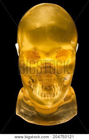 X-Ray Phantom head isolated on black background.