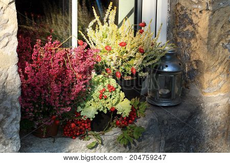Picturesque small decoration in farm in Poland. Heathers with cabbage and lantern. Autumn crops.