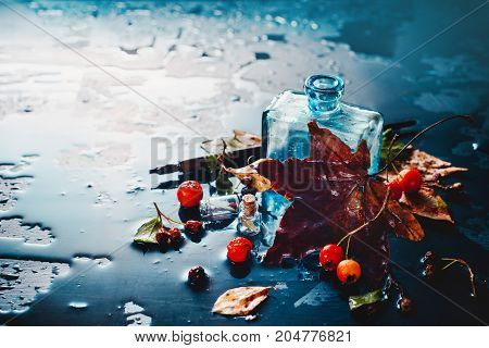 Dark Autumn Still Life With Rain,, Inwell, Maole Leaves, Berries And Cinnamon On A Wet Background
