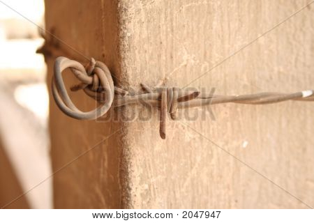 Barbed Wire