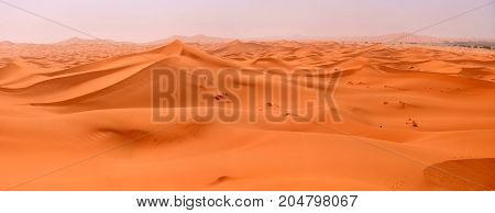 Sahara Desert Dunes