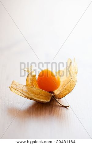 Physalis