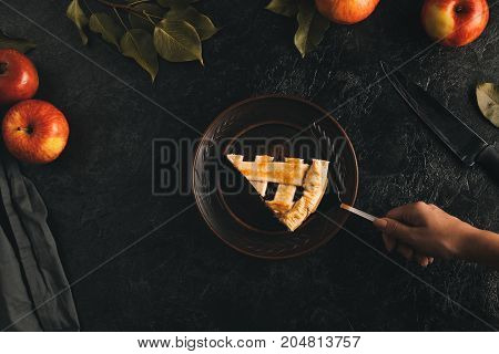 Woman With Piece Of Apple Pie