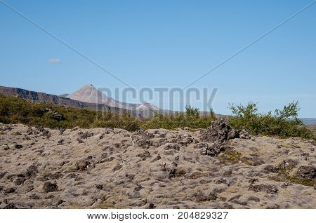 Lava Fields Near Mountain Grabrok In Borgarfjordur Iceland
