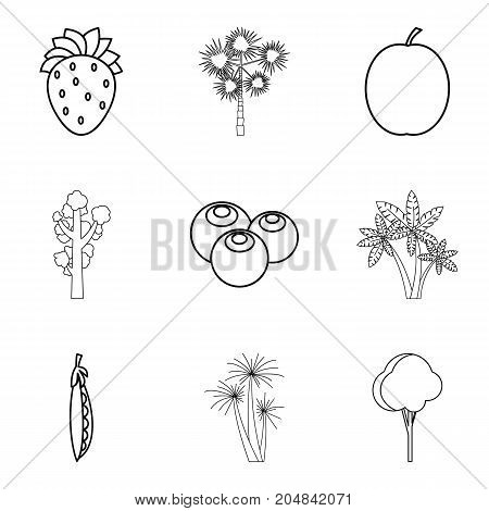 Kailyard icons set. Outline set of 9 kailyard vector icons for web isolated on white background