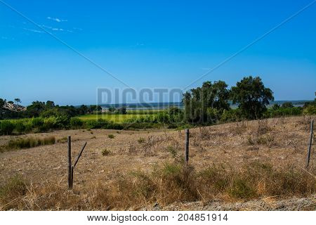 view of the agriculture fields in Comporta Alentejo Portugal