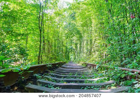 The Popular Tunel Of Love