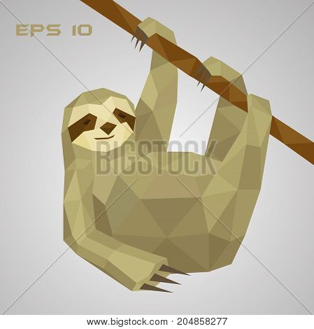 Sloth low poly. A lazy animal hangs on a branch and holds a paw. Low-field mammal. Vector illustration. EPS 10.