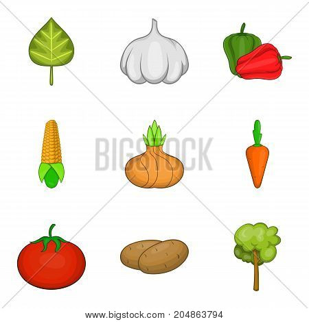 Phytology icons set. Cartoon set of 9 phytology vector icons for web isolated on white background