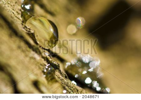Gota de resina