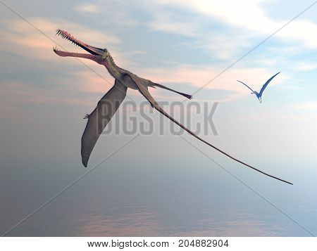 Anhanguera prehistoric birds flying upon the sea by sunset - 3D render