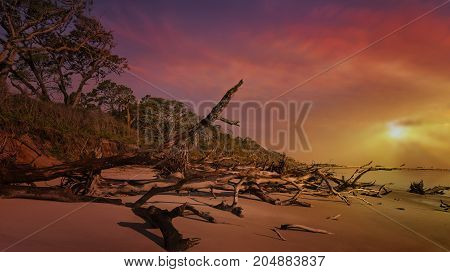 Black Rock Beach with its fallen trees on Big Talbot State Park
