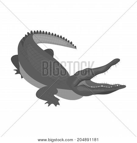 Crocodile, dangerous predator. Reptile, Nile crocodile single icon in monochrome style vector symbol stock illustration .
