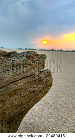 It is river,and with dry wood and set photo.