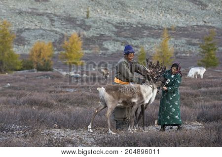 tsaatan couple with their reindeer in Northern Mongolian landscape