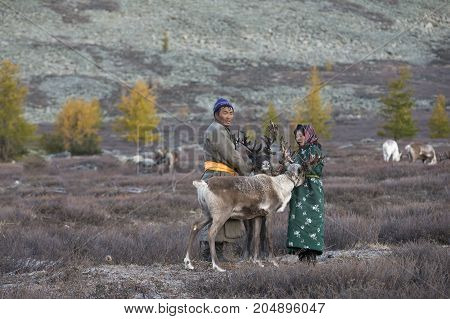tsaatan couple with their reindeer in Northern Mongolian landscape