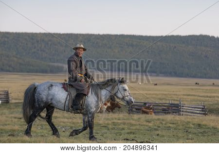 huvsgul Mongolia September 12th 2017: mongolian man riding his horse at sunset