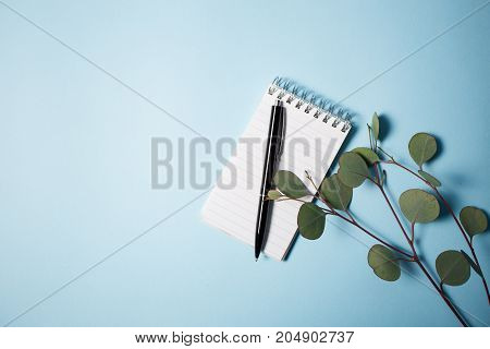 Notepad with pen and eucalyptus branch on a blue background