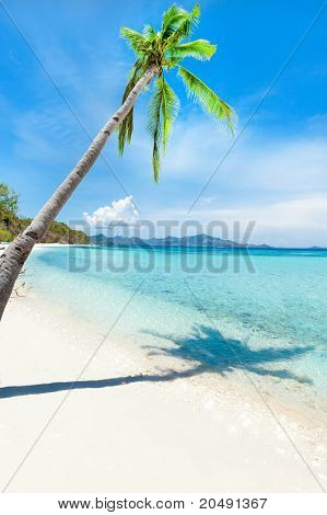 Tropical Beach Malcapuya