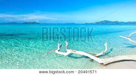 Tropical Beach Panorama