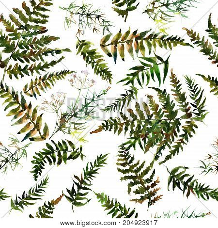 Pattern hand drawing watercolor Forest fern leaves ornament