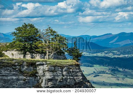 Trees over the cliff in Orduna Spain