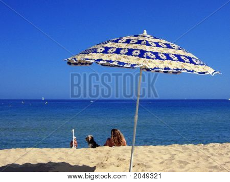 Ragazza 전자 지팡이