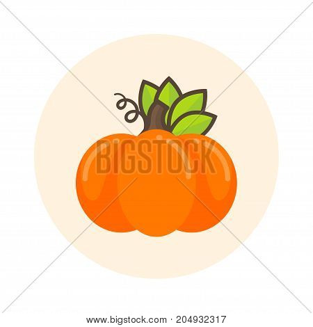 Vector iage of a cartoon cute pumpkin with leaves icon