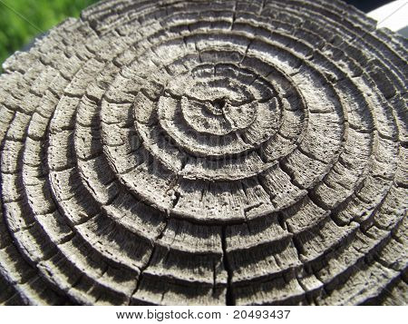 Círculos de madera