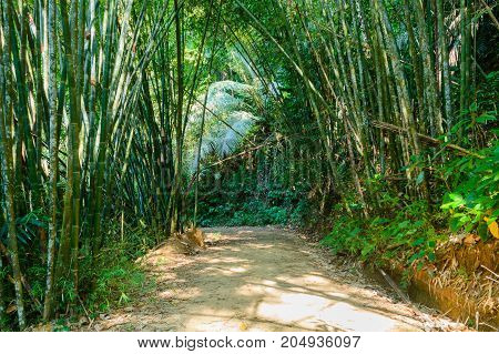 Scenery In Khao Sok National Park In Thailand. Khao Sok National Park The Rain Jungle Forest In Sura