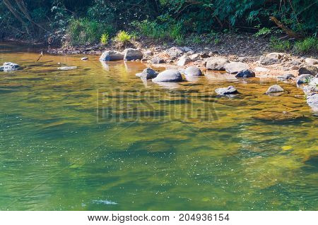 Scenery In Khao Sok National Park In Thailand. Khao Sok National Park The Rain Jungle Forest In Sura
